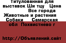 Титулованная для выставок Ши-тцу › Цена ­ 100 000 - Все города Животные и растения » Собаки   . Самарская обл.,Похвистнево г.